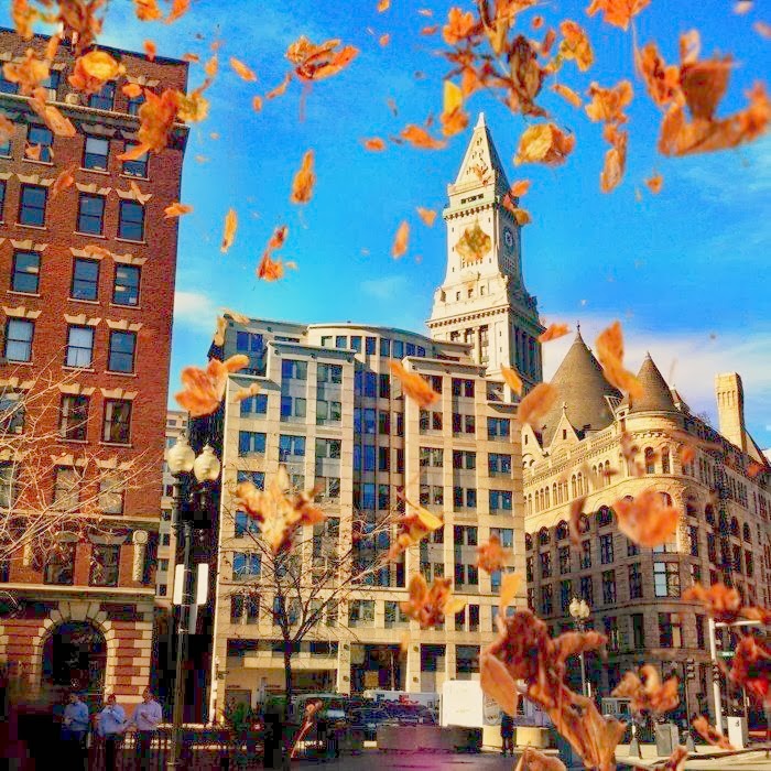 Timeshare Rentals Blog Top 5 Things to Do in Boston, MA