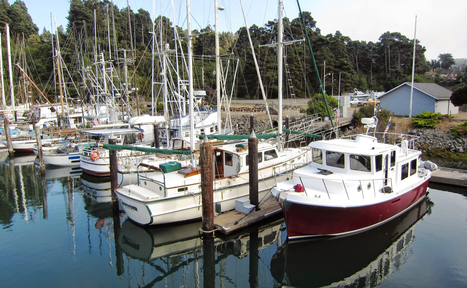 Steve's American Tug News San Francisco Trip Fort Bragg to Bodega Bay